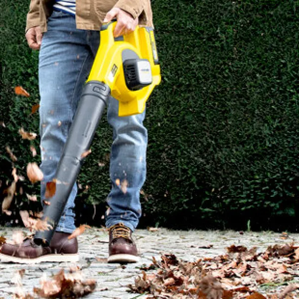 Akkumul&aacute;toros lombf&uacute;v&oacute;