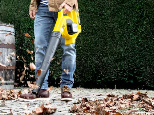 Akkumul&aacute;toros lombf&uacute;v&oacute;