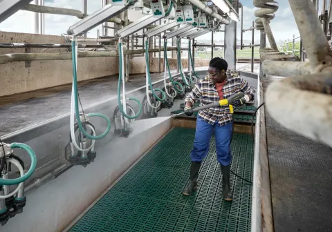 K&auml;rcher Magasnyom&aacute;s&uacute; mos&oacute; HDS 8/18 -4 St EU-I